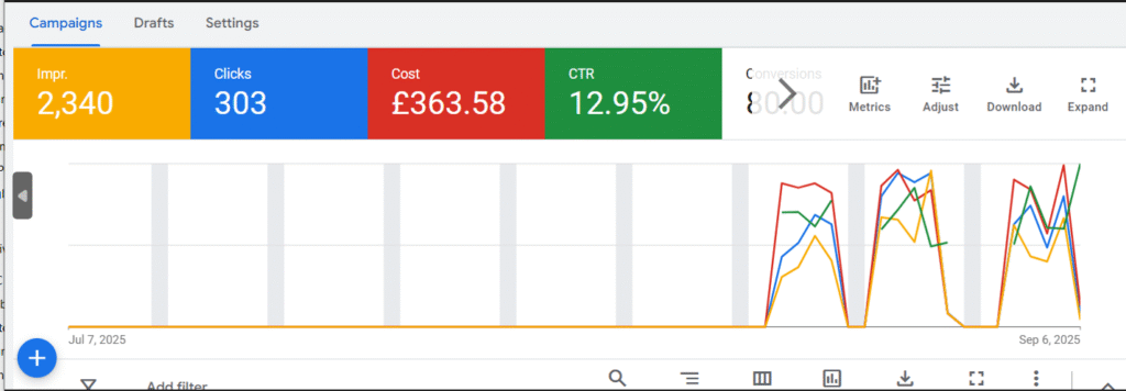 google ads campaign snapshot